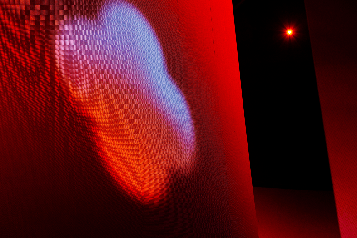 BRANDCAST 2024 | Gallery Image