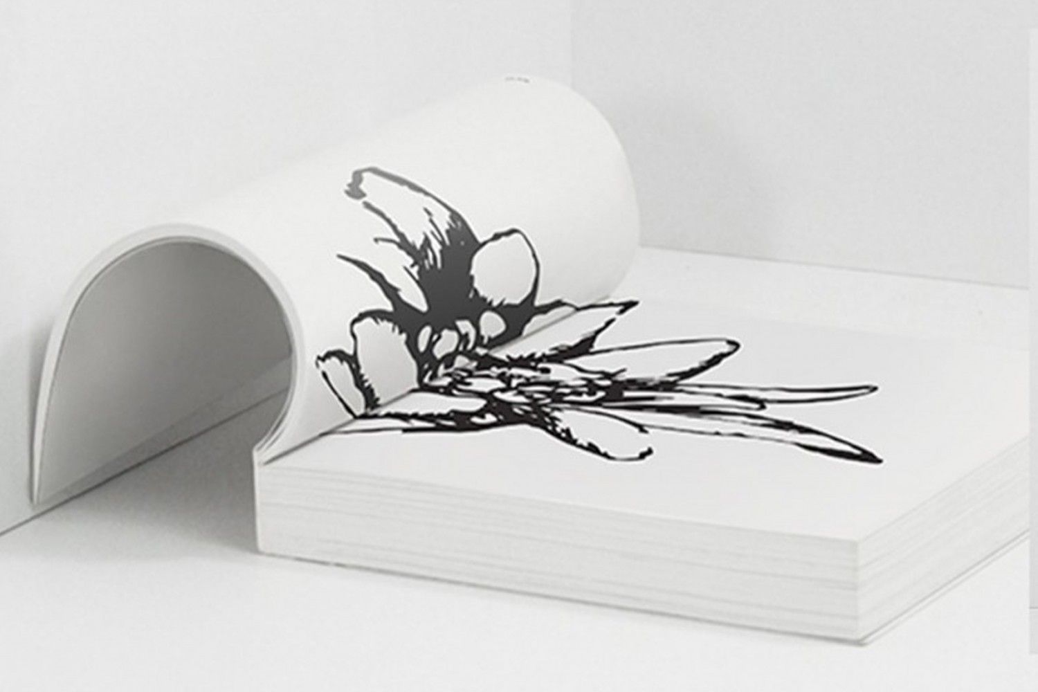 EDELWEISS | Gallery Image