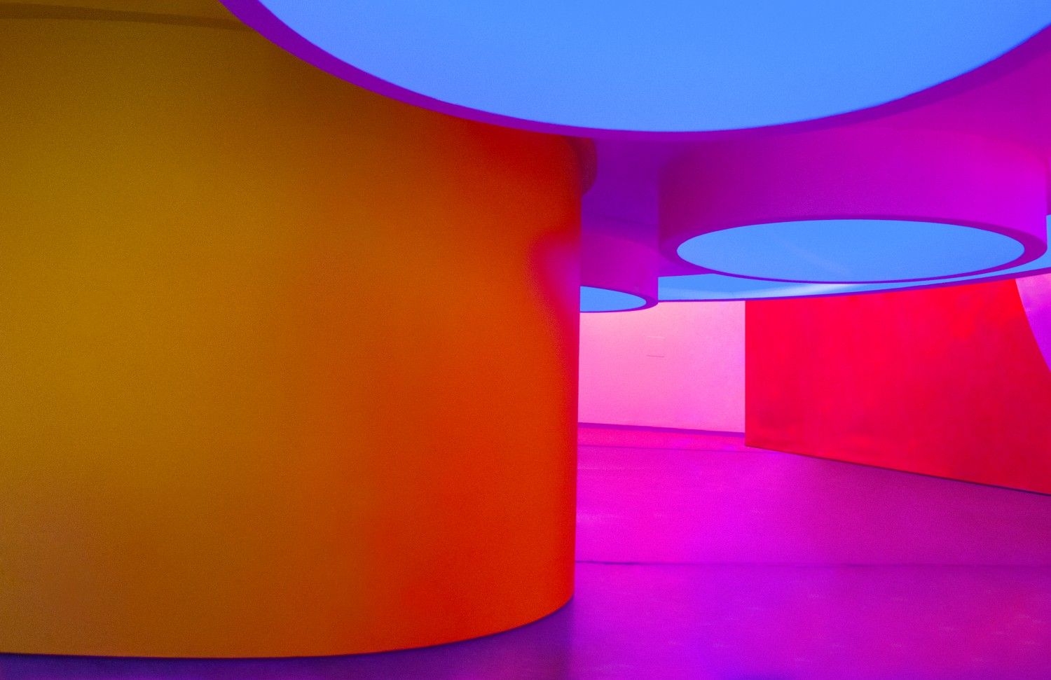 IZZE | Gallery Image