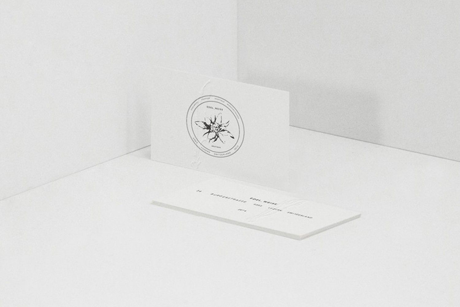 EDELWEISS | Gallery Image