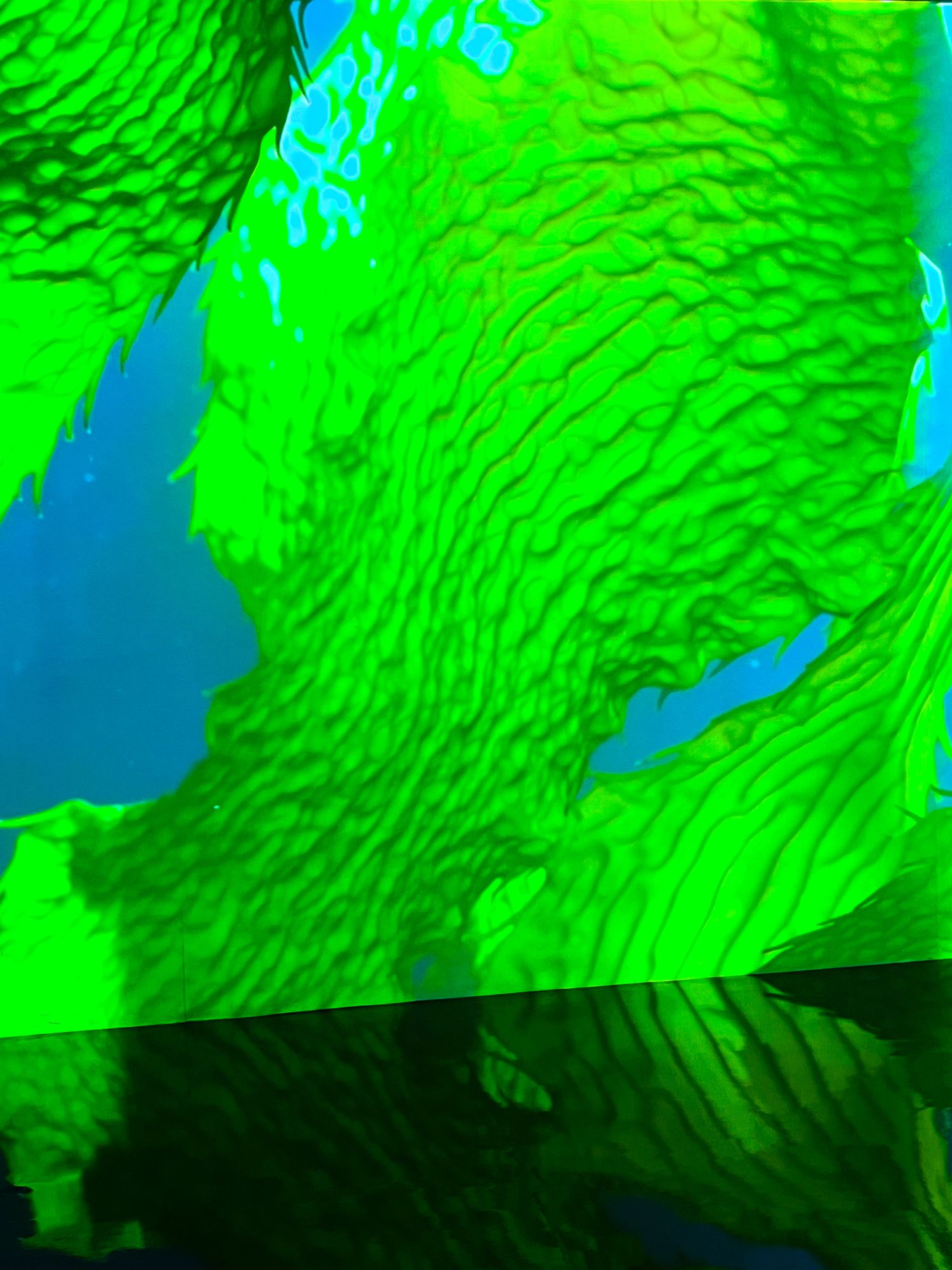 LA MER | Gallery Image